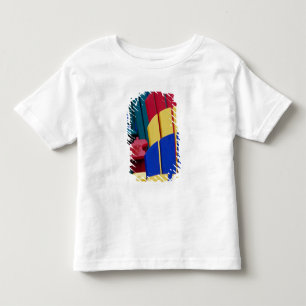 Camiseta N.A. Canadá, Nova Scotia, Bridgewater. Colorido 3
