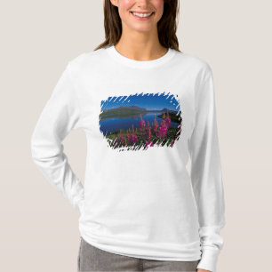 Camiseta N.A., EUA, Alaska, Alaska Range Common