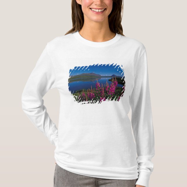 Camiseta N.A., EUA, Alaska, Alaska Range Common (Frente)