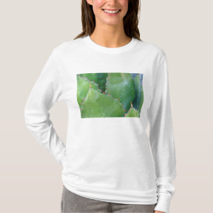 Camiseta N.A., EUA, Arizona, Tucson, Deserto de Sonora