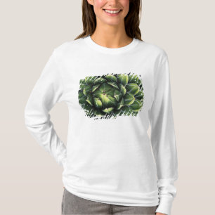 Camiseta N.A., EUA, Arizona, Tucson, Deserto de Sonora