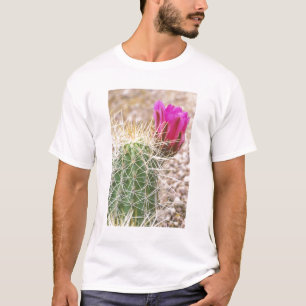 Camiseta N.A., EUA, AZ, Phoenix, Jardim Botânico do Deserto