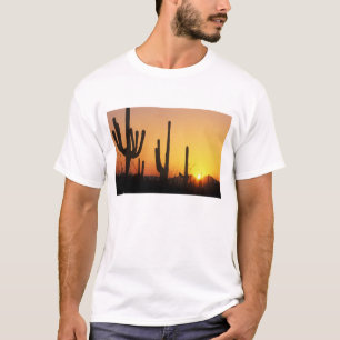 Camiseta N.A., EUA, AZ, Saguaro NP, Pôr do Sol do Saguaro