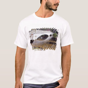 Camiseta N.A., EUA, Carolina do Sul, Charleston.Doenças