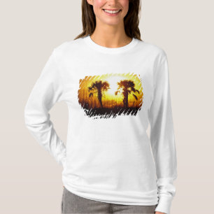 Camiseta N.A., EUA, Carolina do Sul, Charleston. Pôr do sol