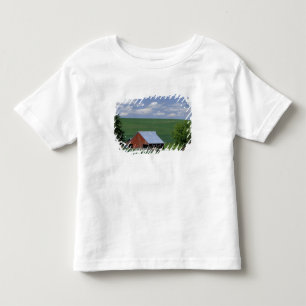 Camiseta N.A., EUA, Idaho, condado de Latah perto de Genese