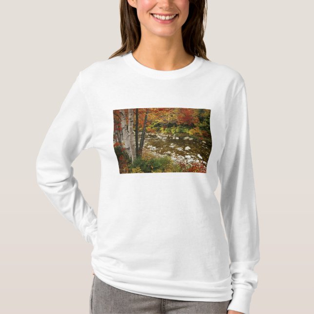 Camiseta N.A., EUA, New Hampshire, White Mountains, (Frente)