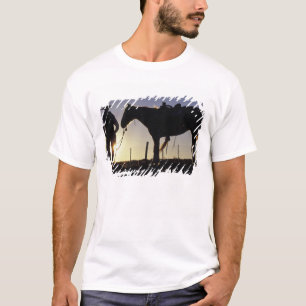 Camiseta N.A., EUA, Oregon, Seneca, Ponderosa Ranch,