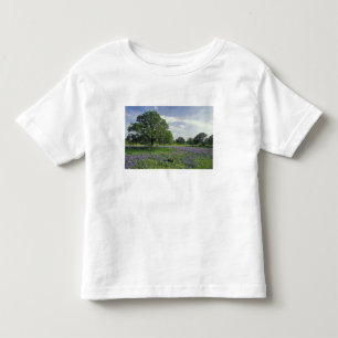 Camiseta N.A, EUA, Texas, Lago Buchanan, Carvalhos e Azuis