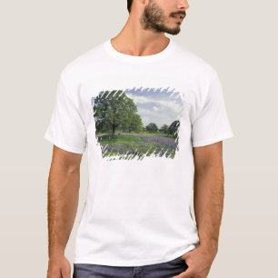 Camiseta N.A, EUA, Texas, Lago Buchanan, Carvalhos e Azul