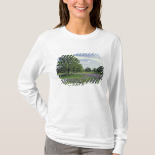 Camiseta N.A, EUA, Texas, Lago Buchanan, Carvalhos e Azul