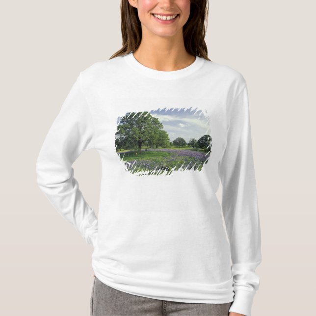 Camiseta N.A, EUA, Texas, Lago Buchanan, Carvalhos e Azul (Frente)