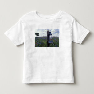 Camiseta N.A., EUA, Texas, Llano, Lanterna Azul, Carvalho