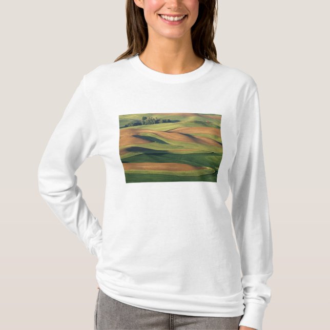 Camiseta N.A., EUA, Washington, Condado de Whitman. (Frente)