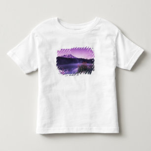Camiseta N.A., EUA, Washington, Mt. Rainier Nacional
