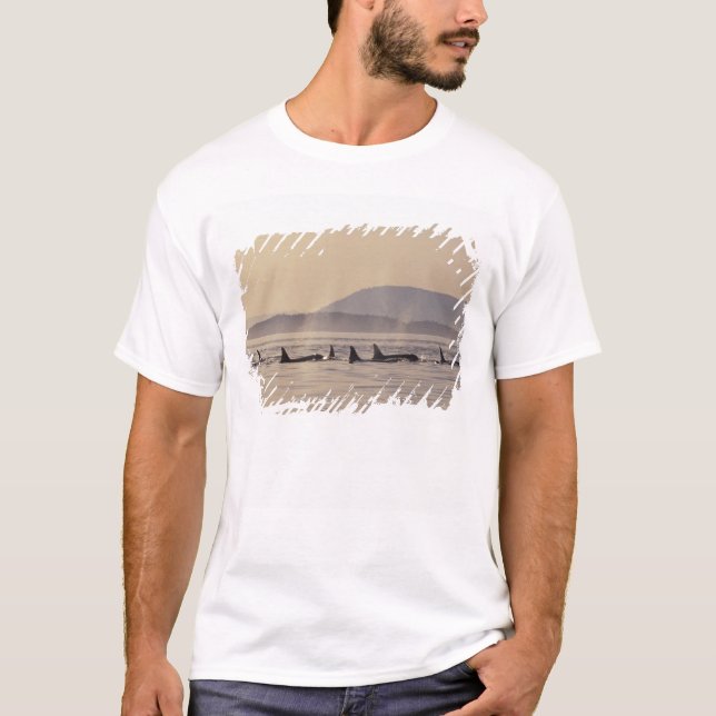Camiseta N.A., EUA, Washington, San Juan Islands Orca (Frente)