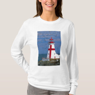 Camiseta NA, Canadá, New Brunswick, Ilha Campobello.8