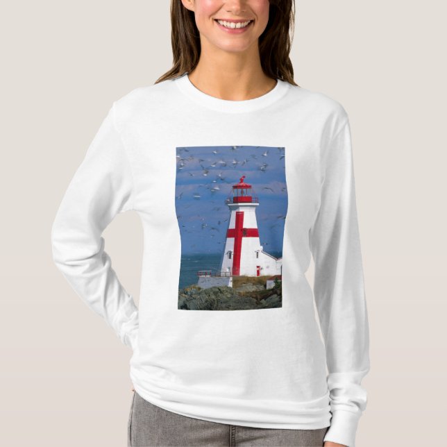 Camiseta NA, Canadá, Nova Brunswick, Ilha Campobello. 8 (Frente)