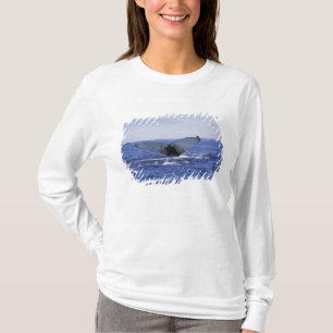 Camiseta NA, Canadá, Terra Nova, Baía Trinity. Humpback