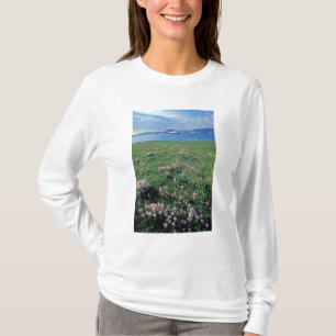 Camiseta NA, EUA, Alasca, Ilha Aleutiana, Cênica com