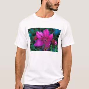 Camiseta NA, EUA, Alasca, Ilhas Aleutas, Flores Silvestres