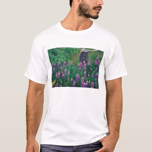 Camiseta NA, EUA, Alasca, Ilhas Aleutas, Unalaska, (Frente)