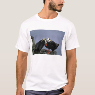 Camiseta NA, EUA, Alasca, Mar de Bering, Pribilofs. Penacho