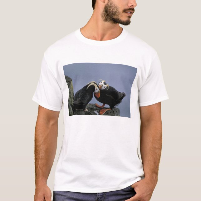 Camiseta NA, EUA, Alasca, Mar de Bering, Pribilofs. Penacho (Frente)
