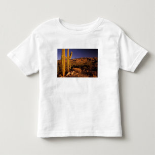 Camiseta NA, EUA, Arizona, Monumento Nacional de Saguaro,