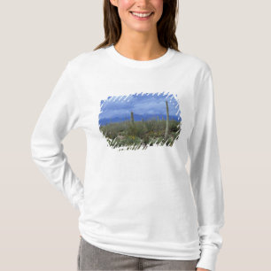 Camiseta NA, EUA, Arizona, Monumento Nacional Saguaro,