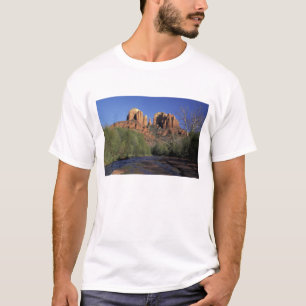 Camiseta NA, EUA, Arizona, Sedona. Catedral Rocha e Oak