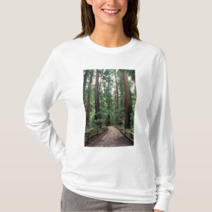 Camiseta NA, EUA, Califórnia, Condado de Marin, Muir Woods