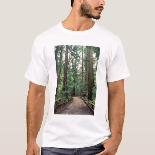 Camiseta NA, EUA, Califórnia, Condado de Marin, Muir Woods