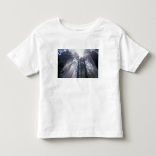 Camiseta NA, EUA, Califórnia. Del Norte Coast State 2
