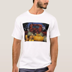 Camiseta NA, EUA, Novo México, Taos. Stand Chile.
