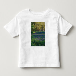 Camiseta NA, EUA, Oregon, Salem. Campo de camas e 3