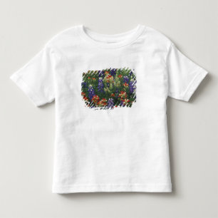 Camiseta NA, EUA, Texas, perto de Marble Falls, Pincel