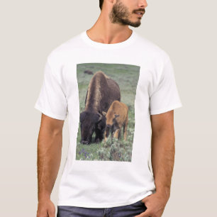 Camiseta NA, EUA, Wyoming, Parque Nacional de Yellowstone.