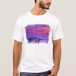 Camiseta NA, EUA, Wyoming, Parque Nacional Yellowstone, Val