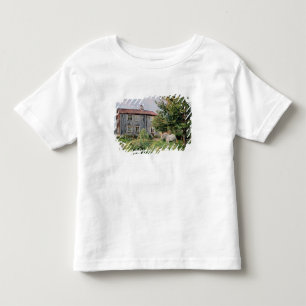 Camiseta Na fazenda, 1889