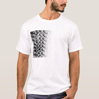 Camiseta Na trilha