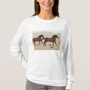 Camiseta Namíbia, Aus. Cavalos selvagens correndo no Namibe