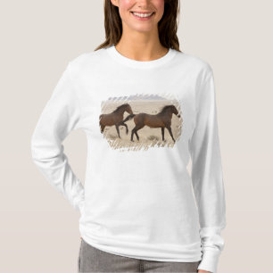 Camiseta Namíbia, Aus. Cavalos selvagens correndo no Namibe