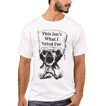 Não foi por isso que votei