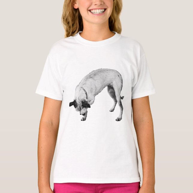 Camiseta Não fui eu, prometo (Frente)