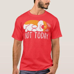 Camiseta Não Hoje Um Cachorro Engraçado Dormia Com Cachorro