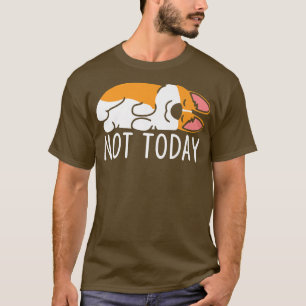 Camiseta Não Hoje Um Cachorro Engraçado Dormia Com Cachorro