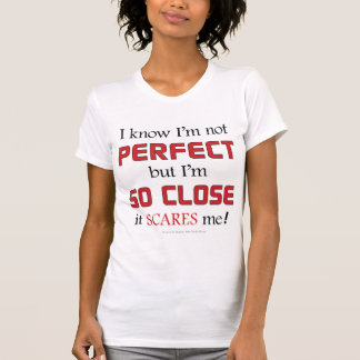 Camiseta Nao perfeito