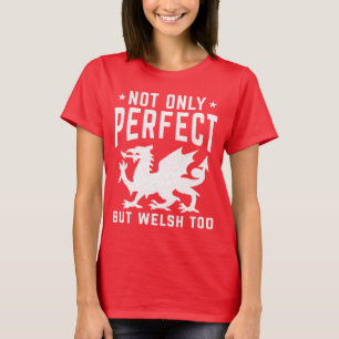 Camiseta Não Só Perfeito, Mas Galês Muito Engraçado Cam