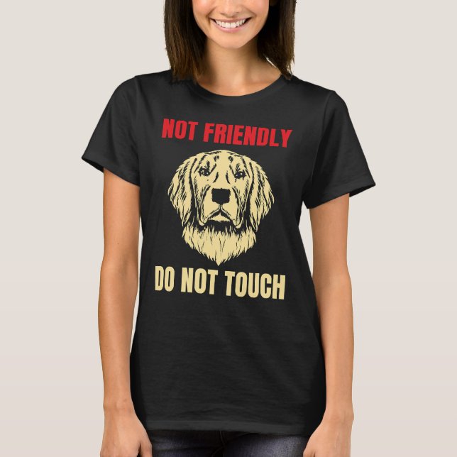 Camiseta Não Tocar Com Amizade Em Ouro, Nunca Se Divertir. (Frente)